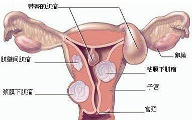 第433页